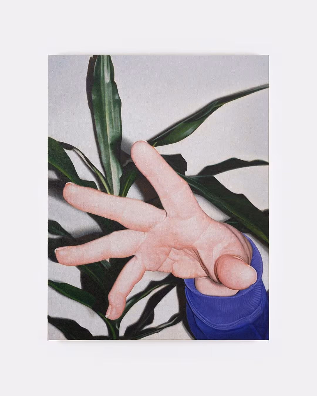 Marcel Vidal, Hand and plant, oil on linen