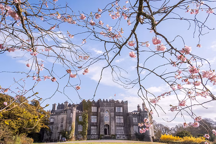 Birr-Castle-Demesne-Cherry-Castle---Paul-Moore