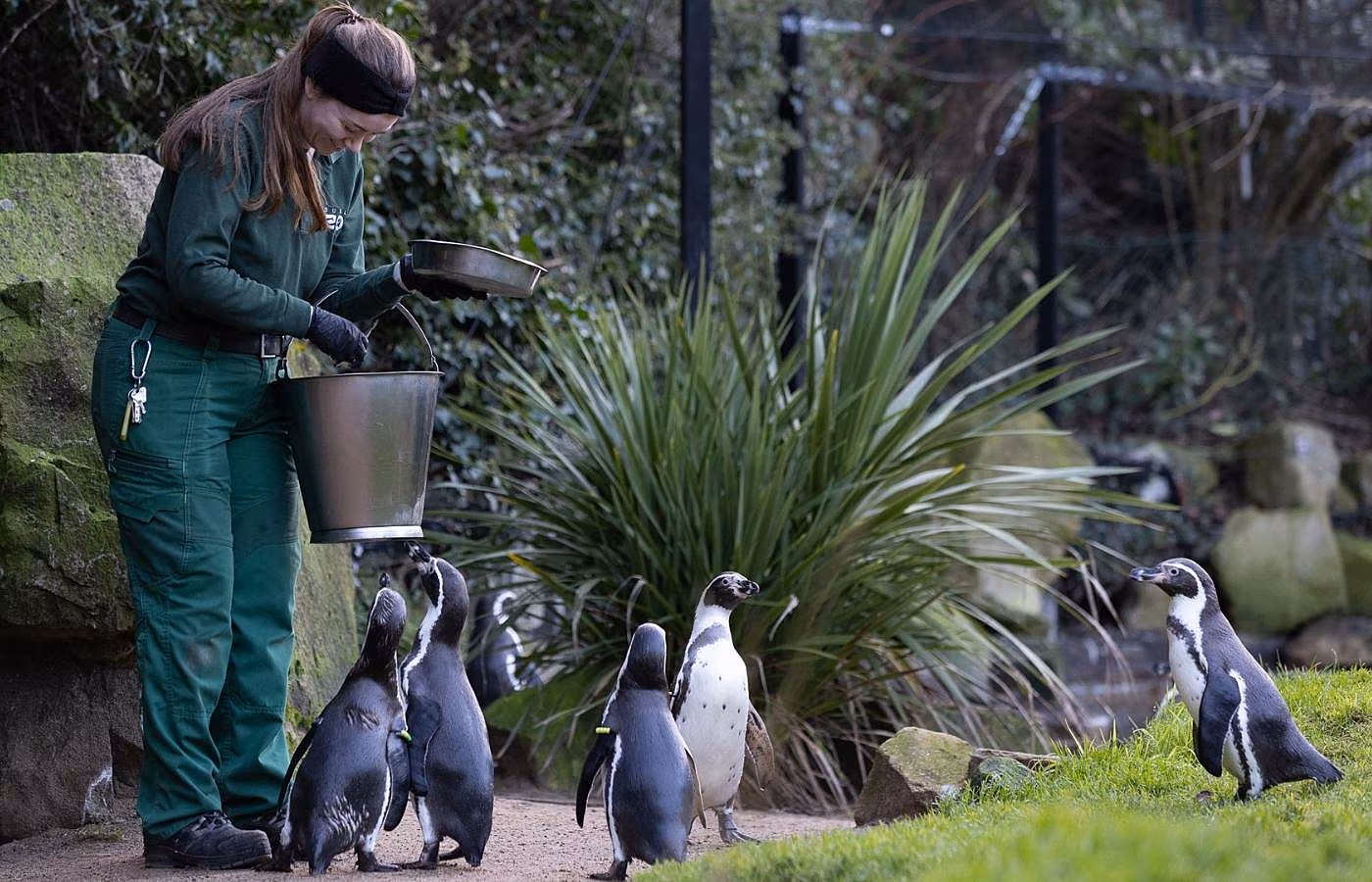 Dublin Zoo