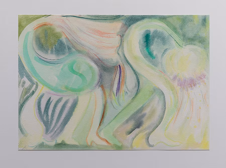 Song-of-the-Siren,-Sligo-exhibition