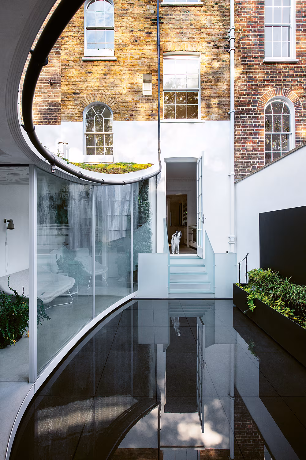 The-Gloss-Magazine-Dogs-Life-Interiors-1