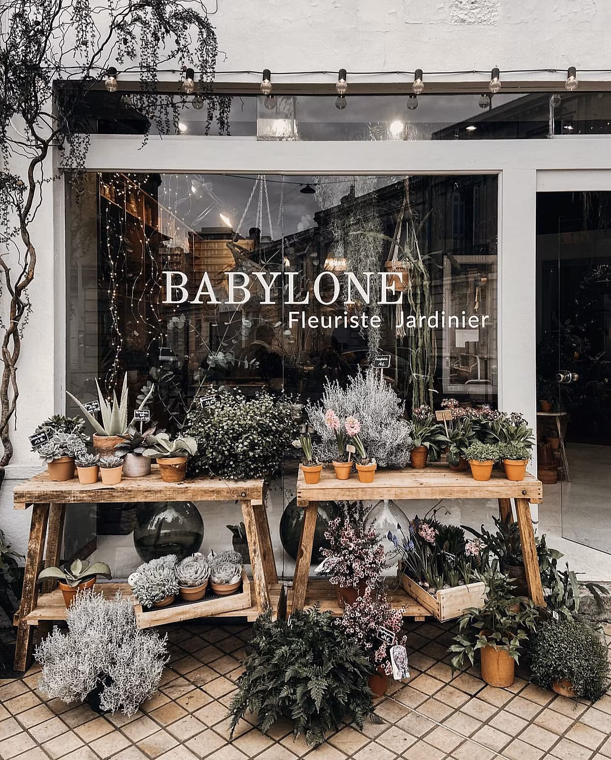 Babylone bordeaux photo: louandcompany