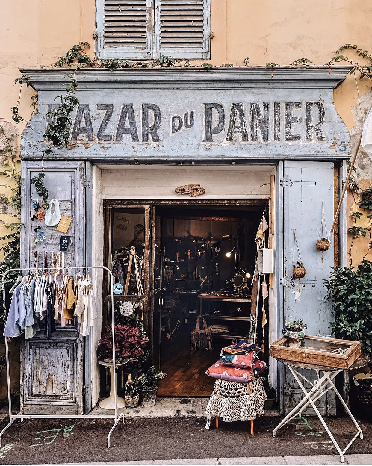 France: Bird Song, marseille photo: outofmylens