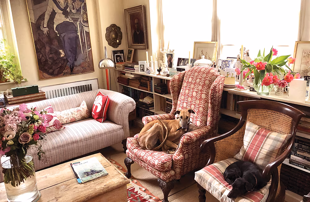 Dogs-Knicker-Drawer-