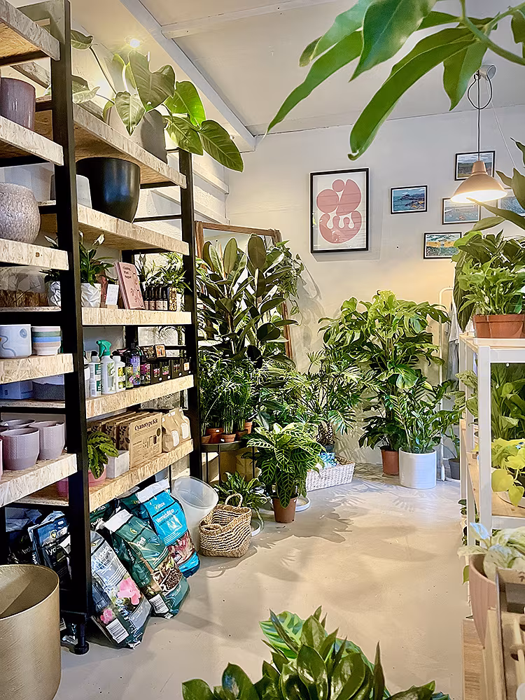 HOPELESS BOTANICS