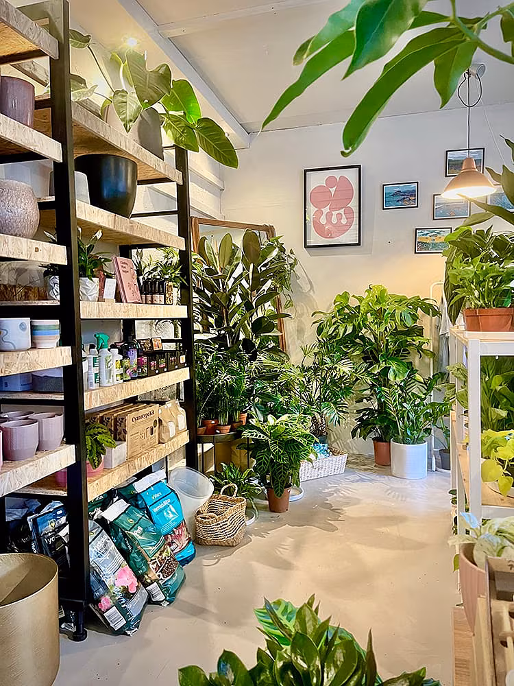 HOPELESS BOTANICS