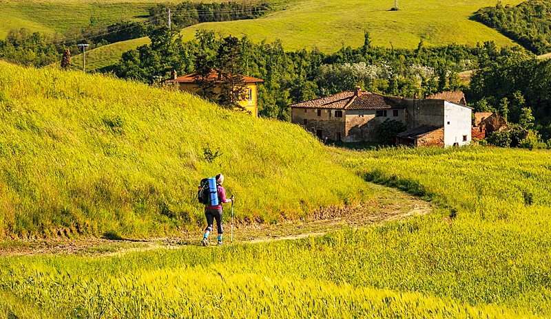 1Tuscany