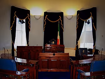Seanad votes to scrap itself
