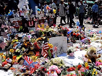 Boston bombing suspect pleads...