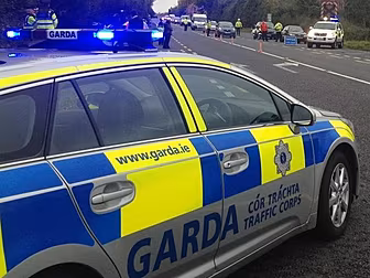 Gardai issue appeal to road us...