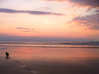 Sligo harnesses social media t...