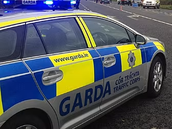 Garda injured in car ramming