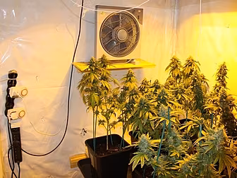7 arrested during drugs search...