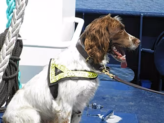 Harvey sniffs out €55,000