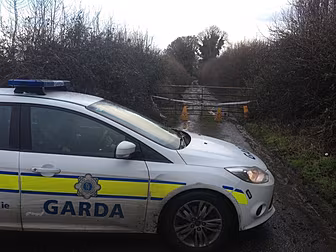 Gardai launch murder inquiry i...