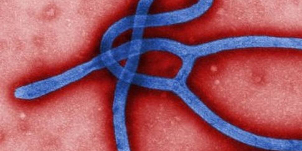 Unprecedented ebola 'epide...