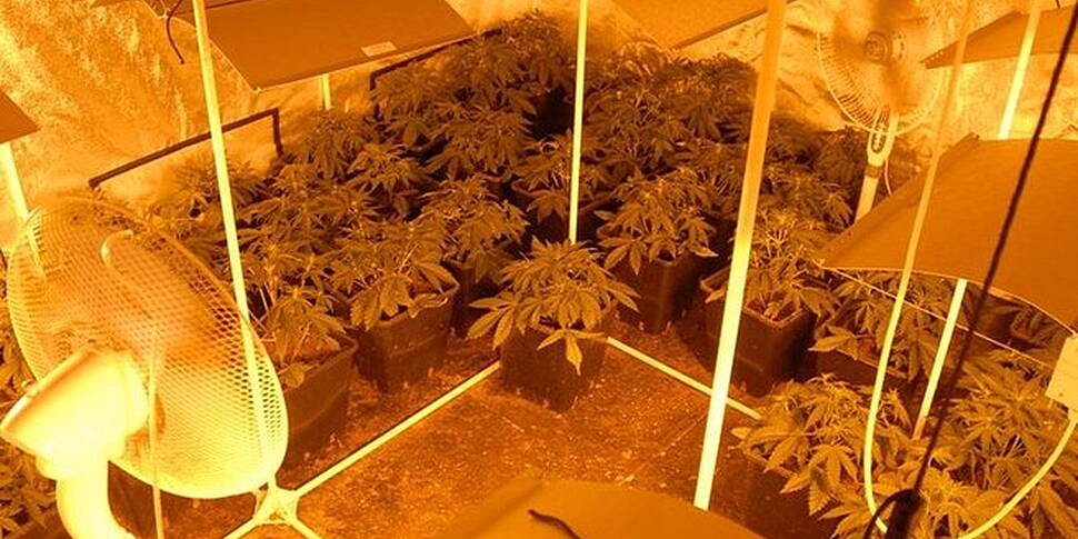 Gardai seize cannabis, tobacco...