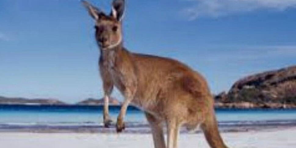 Working Abroad Australia Expo...