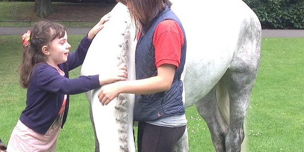 Using horse power to teach chi...