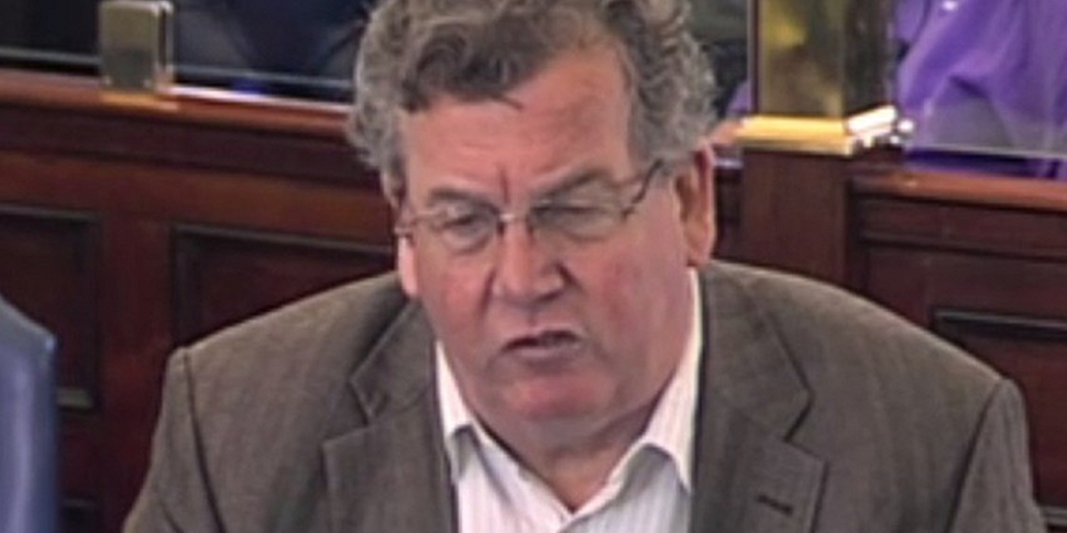 'Seagull senator' stan...