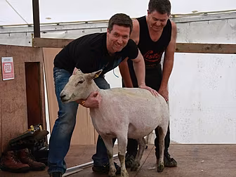 Dermot & Dave went to the Nati...