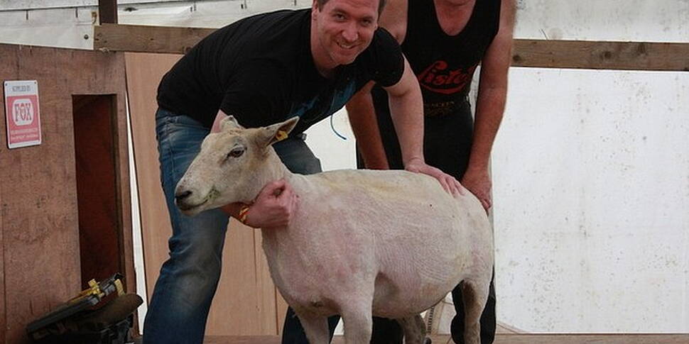 Dermot & Dave went to the Nati...