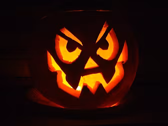 Gift Liveline Halloween