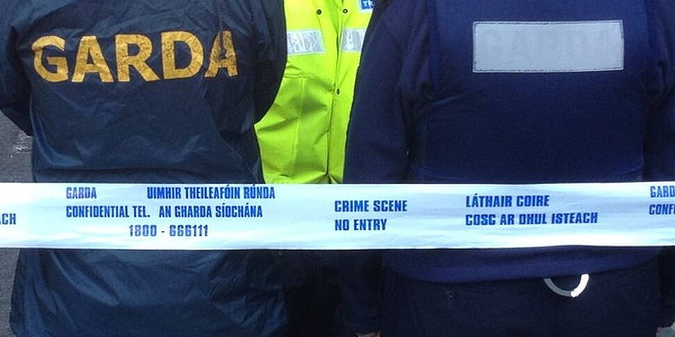 Man dies in Dublin stabbing