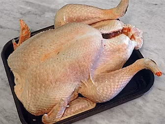Gift Liveline Turkey