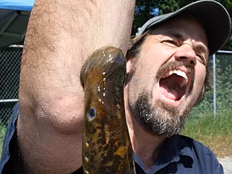 It's Raining Fish Monsters...