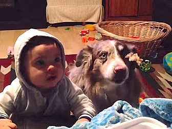 Dog Says 'Mama' Before...