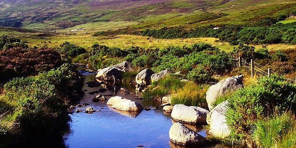 Record tourism numbers for Ire...