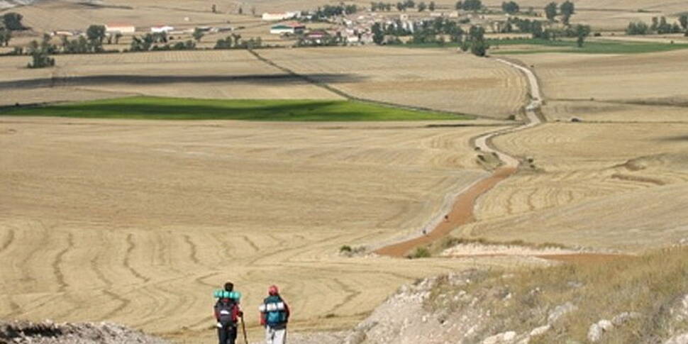 Cawley's Camino