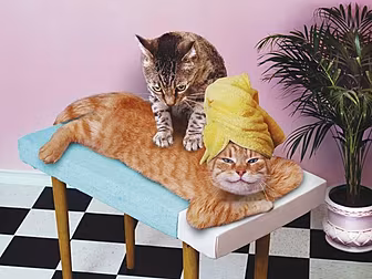 When you get a massage after a...