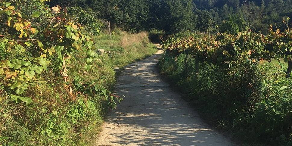 Day 3: Cawley's Camino
