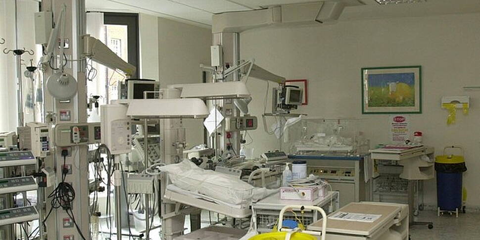 Healthy vision cells transplan...