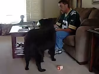 Beer Fetching Dog Anyone?