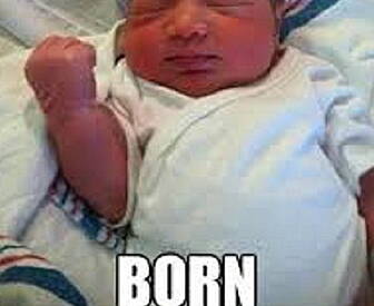 Babies, babies EVERYWHERE