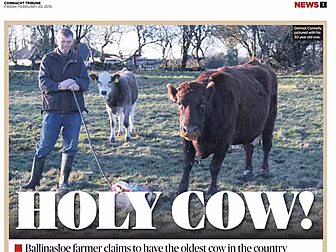 The best local news stories of...