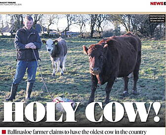 The best local news stories of...