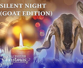 A Christmas Album Sung By Goat...