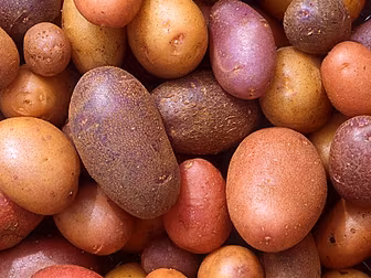 National Spuds & Wine Day (& o...