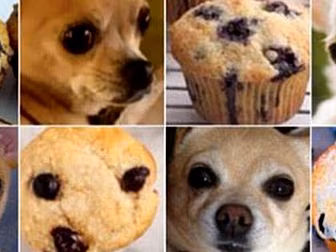Is it food or a dog?