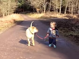 Dog waits patiently as pal has...