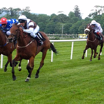 Gift Punchestown