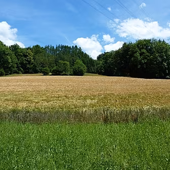 Investing in Agricultural Land