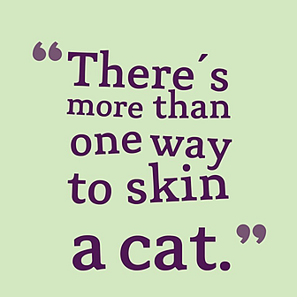 Gift Liveline Skin A Cat