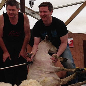Dave Shears A Sheep!