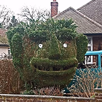 Living on the Hedge