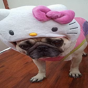 Dave's World - Hello Kitty...